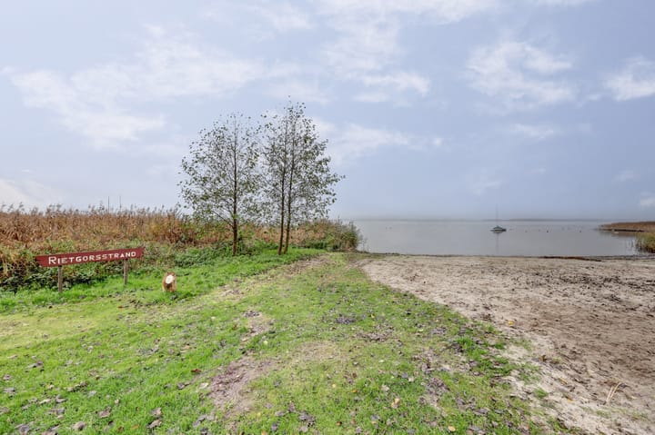 Foto 45 van Rietgorsmeen 93