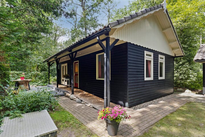 Foto 14 van Langeloërduinen 4 110