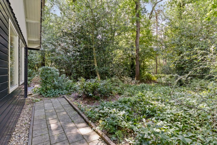 Foto 39 van Langeloërduinen 4 110