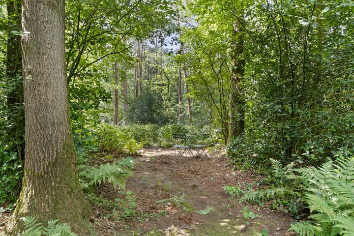 Foto 41 van Langeloërduinen 4 110