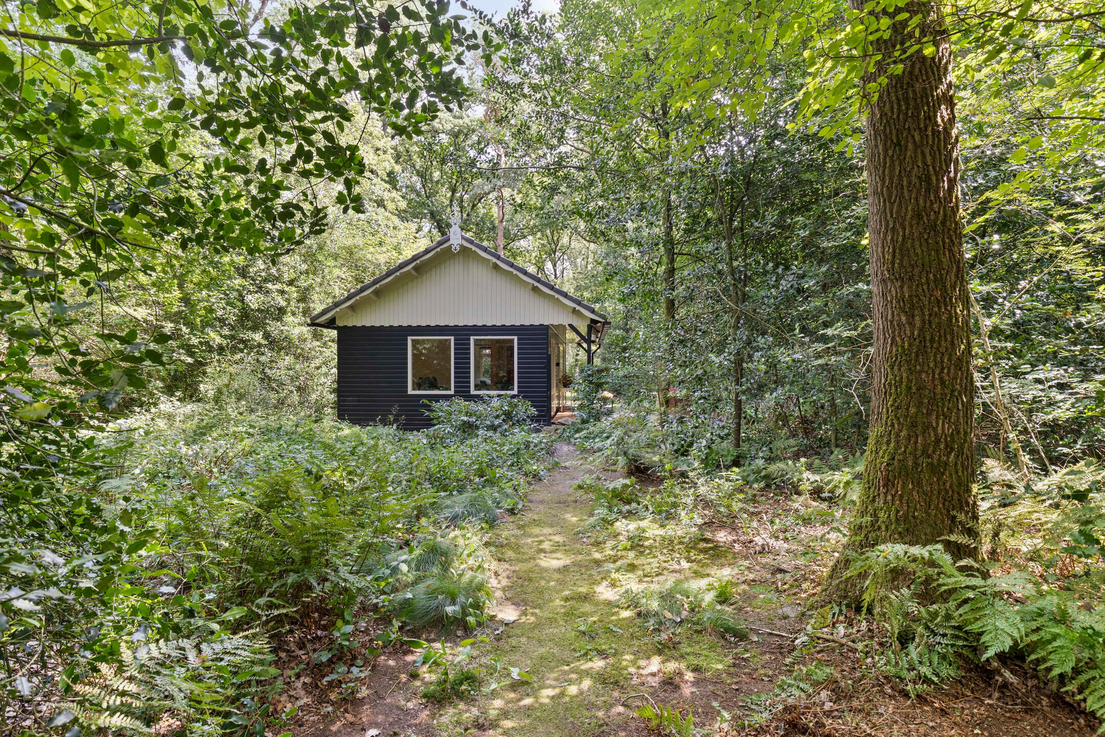 Foto 42 van Langeloërduinen 4 110