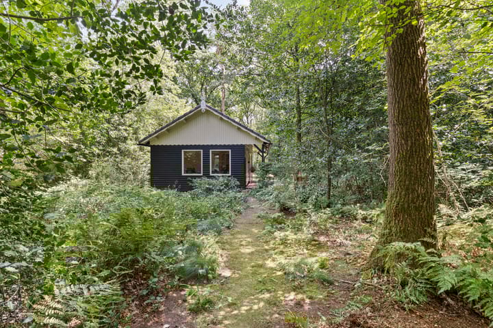 Foto 42 van Langeloërduinen 4 110