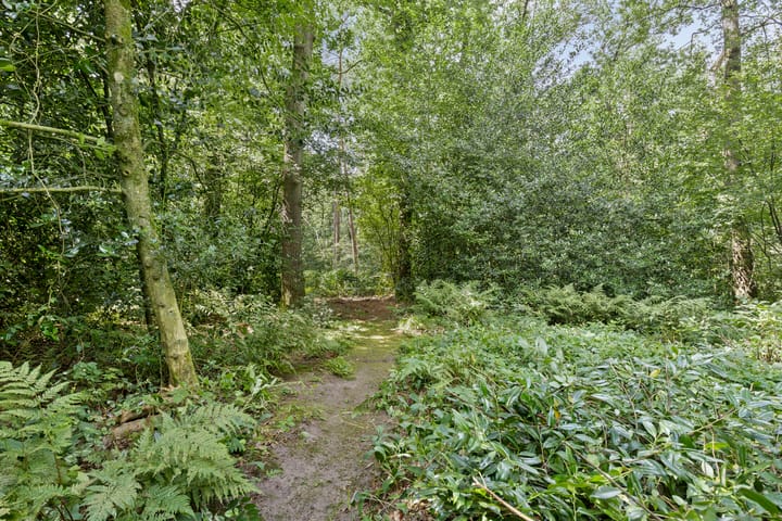 Foto 40 van Langeloërduinen 4 110