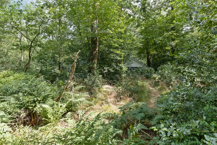 Foto 45 van Langeloërduinen 4 110