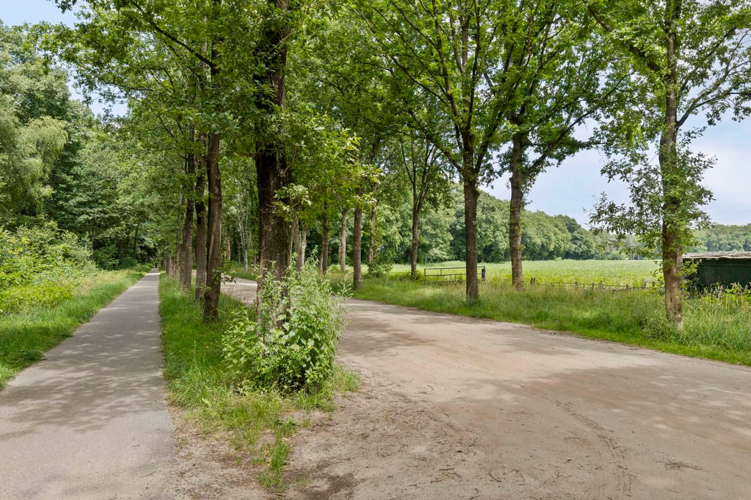 Foto 46 van Langeloërduinen 4 110