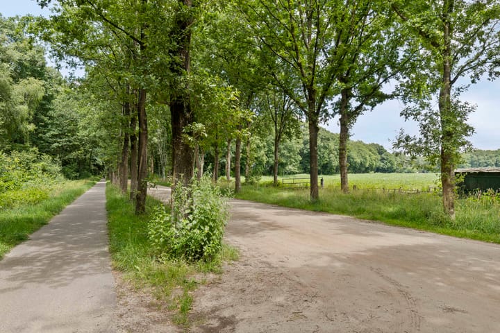 Foto 46 van Langeloërduinen 4 110