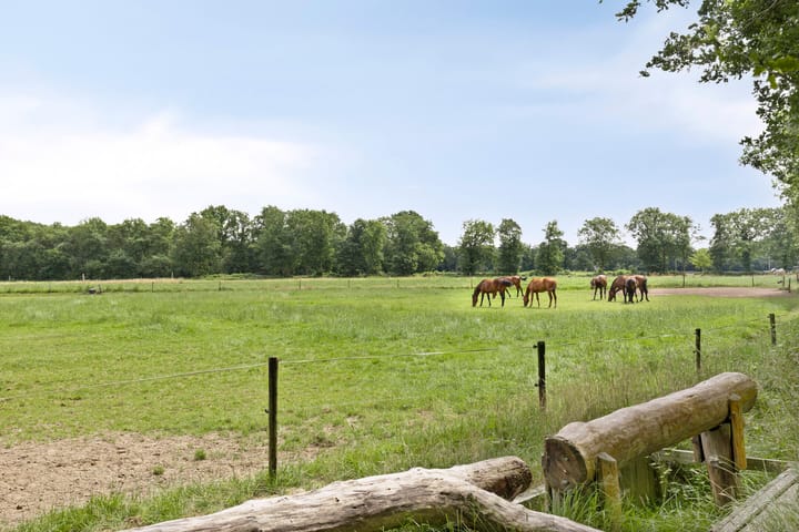 Foto 47 van Langeloërduinen 4 110