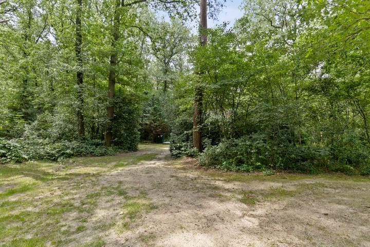 Foto 10 van Langeloërduinen 4 110