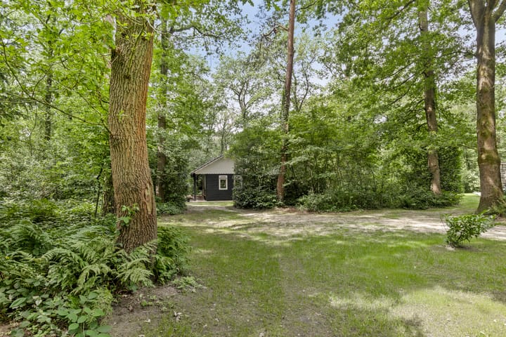 Foto 11 van Langeloërduinen 4 110