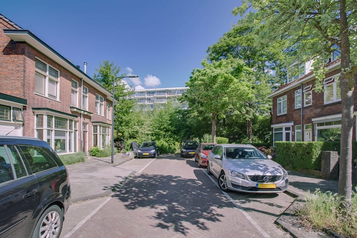 Photo 36 of Coornhertstraat 59