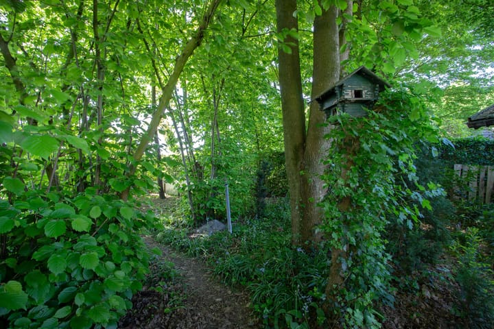 Foto 38 van Beemke 59