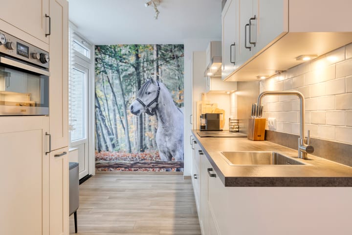 Photo 11 of Kroonkruid 1