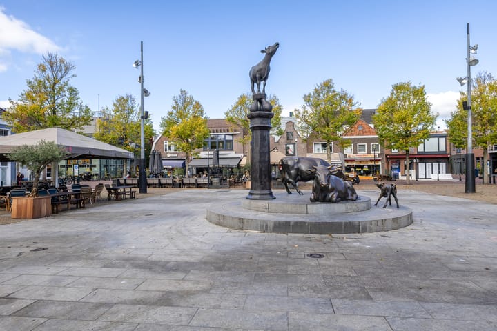 Foto 50 van Hyacinthenstraat 2