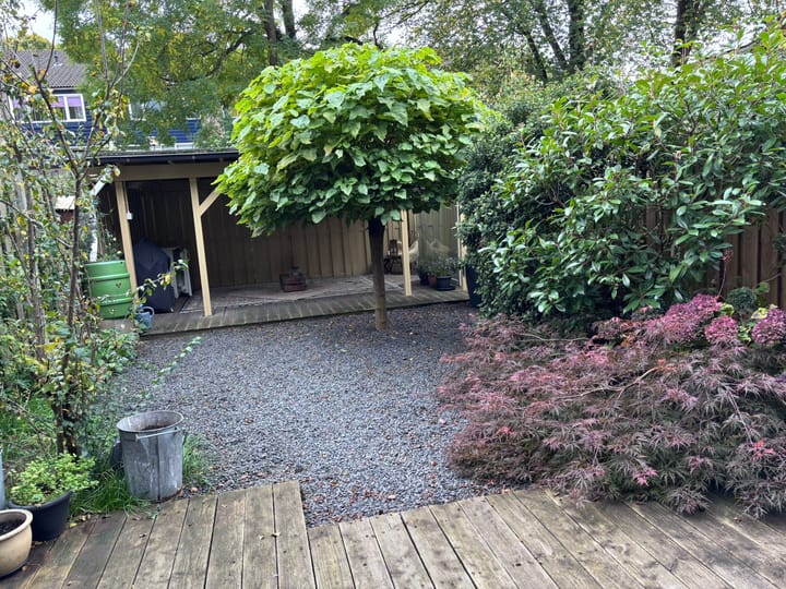 Foto 10 van Gildenburg 806