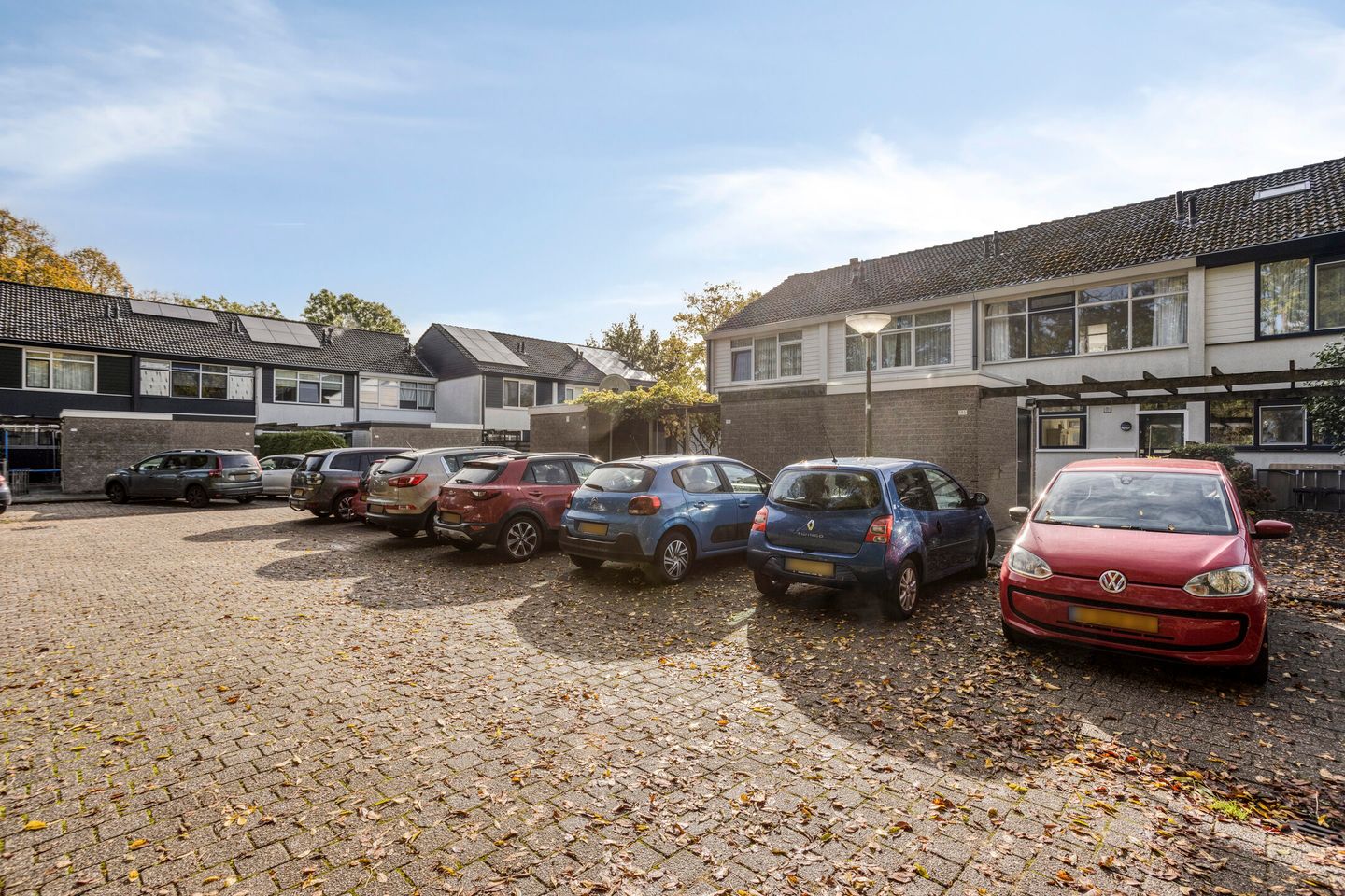 Foto 5 van Raaigras 185