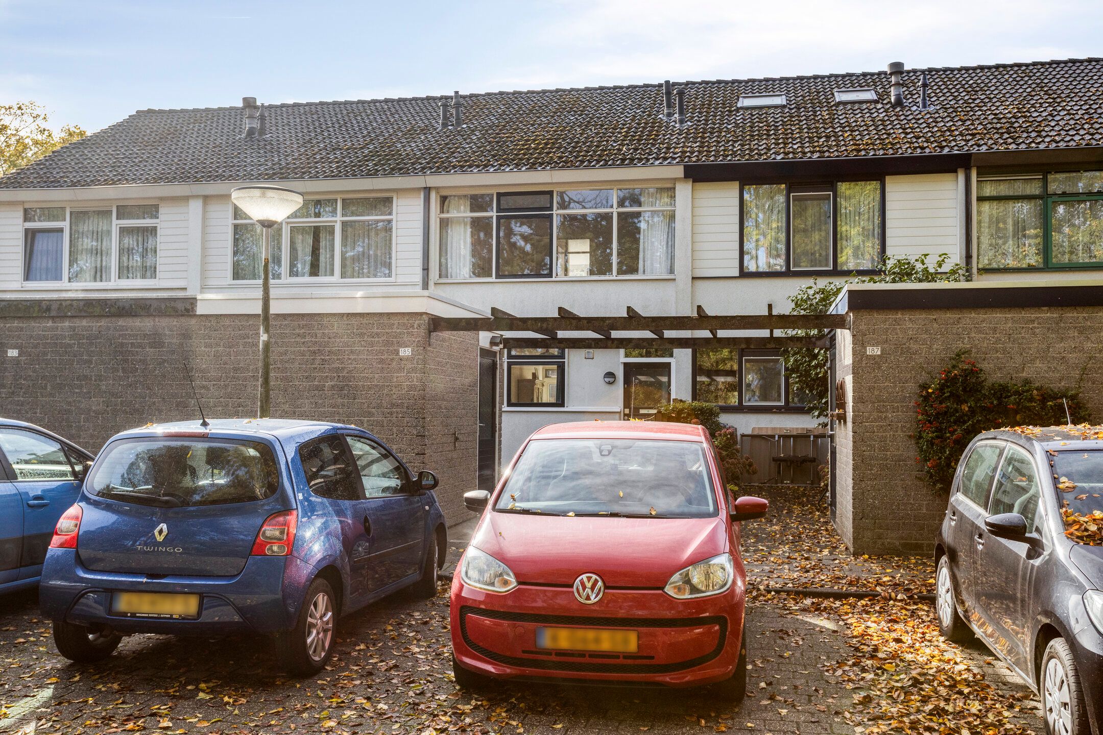 Foto 6 van Raaigras 185