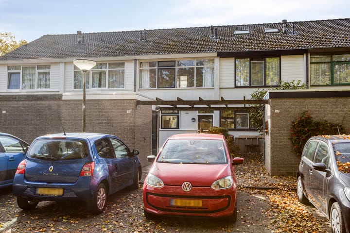 Foto 6 van Raaigras 185