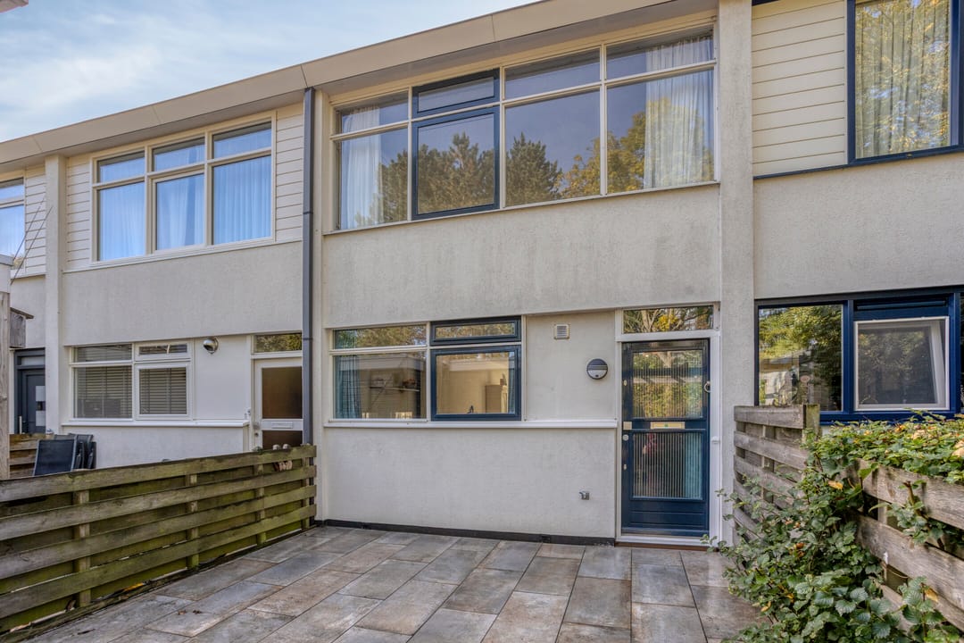 Foto 7 van Raaigras 185