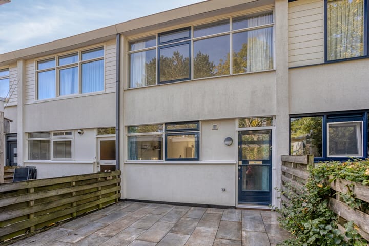 Foto 7 van Raaigras 185