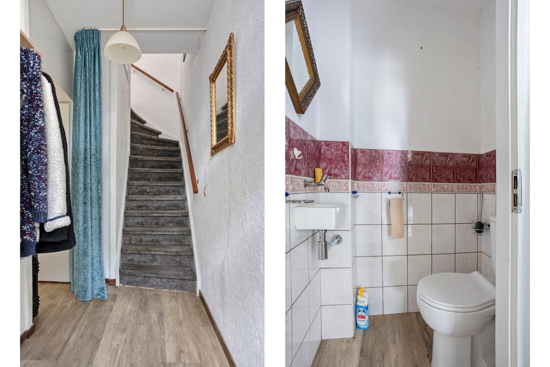 Foto 8 van Raaigras 185