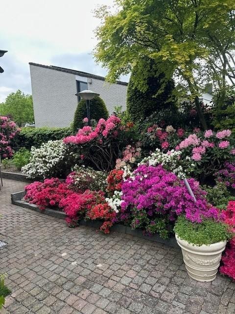 Foto 36 van Halewijnstraat 8