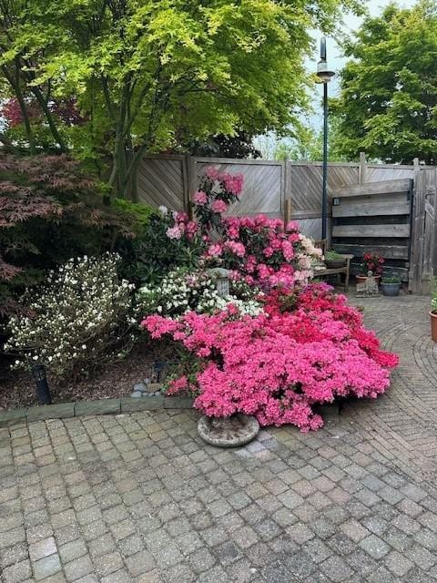 Foto 38 van Halewijnstraat 8