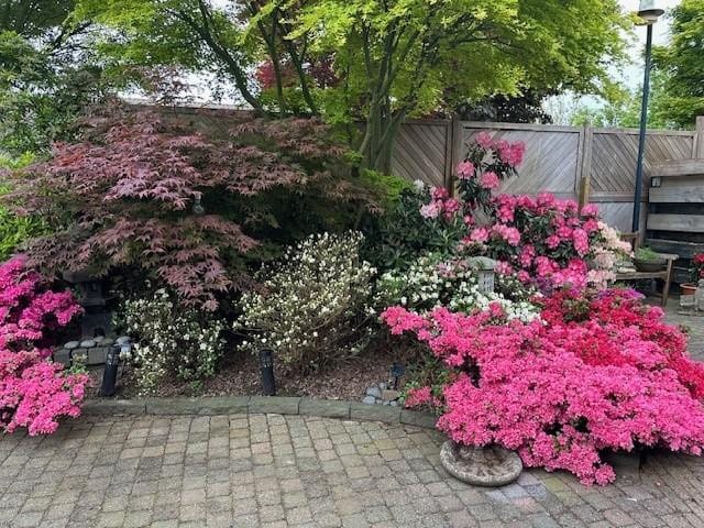 Foto 37 van Halewijnstraat 8