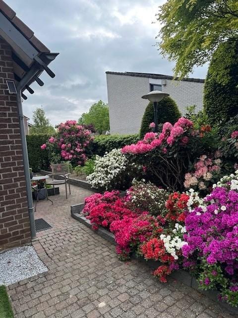 Foto 35 van Halewijnstraat 8