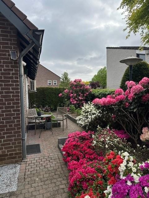 Foto 34 van Halewijnstraat 8