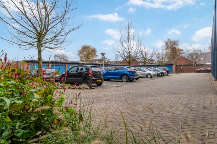 Foto 2 van Blauwgras 5-10