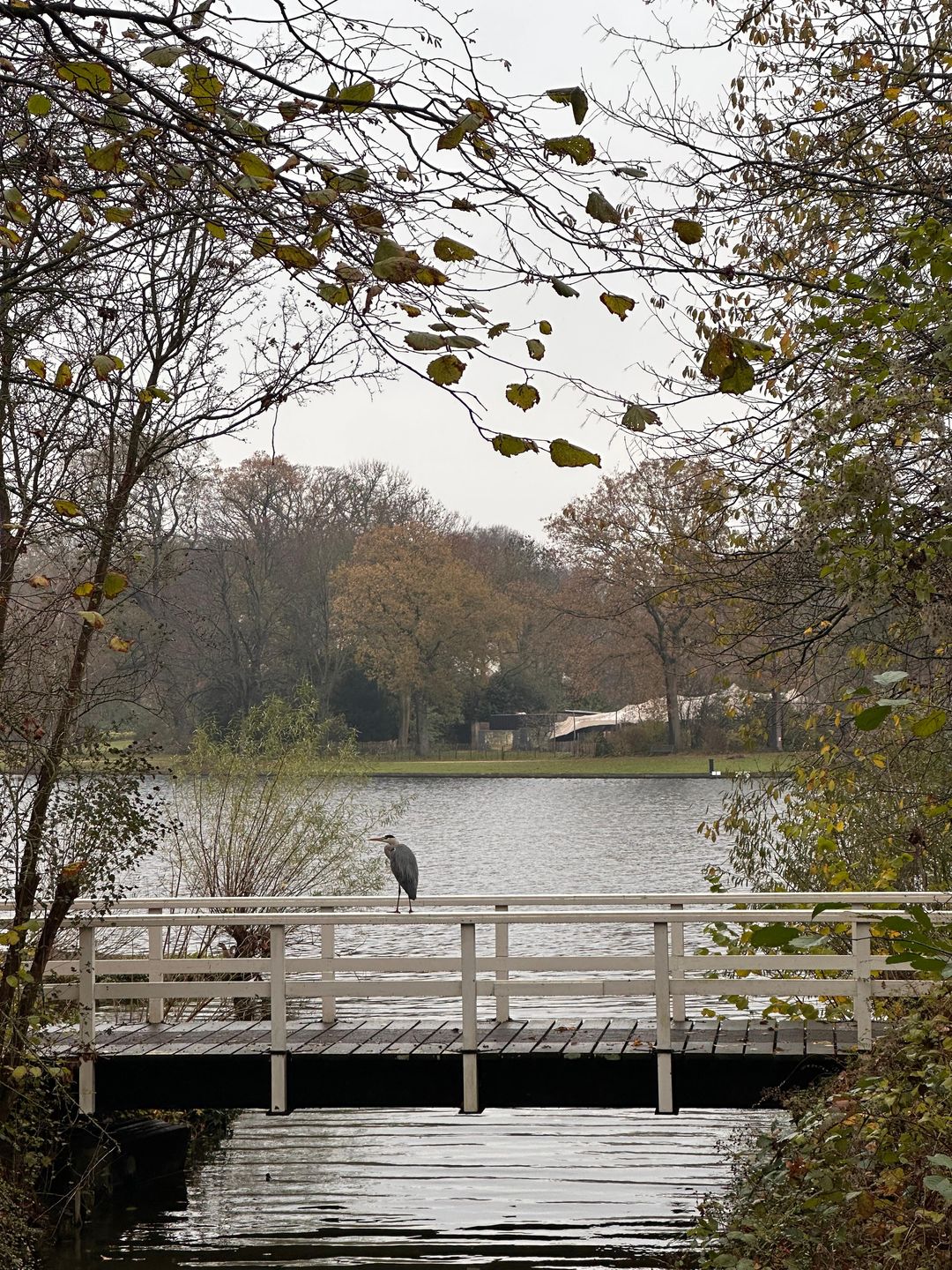 Photo 52 of Bous de Jongpark 78