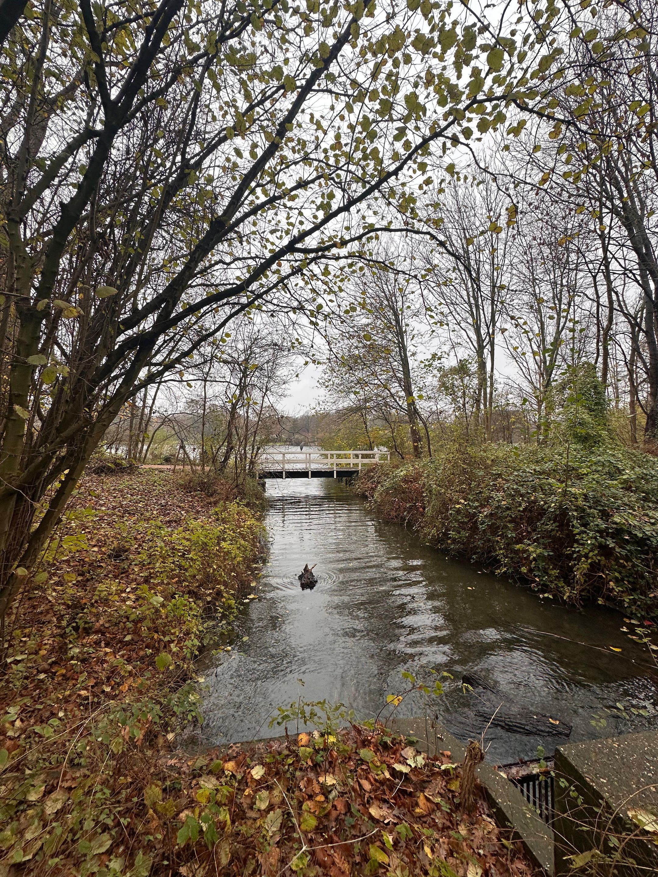 Photo 51 of Bous de Jongpark 78