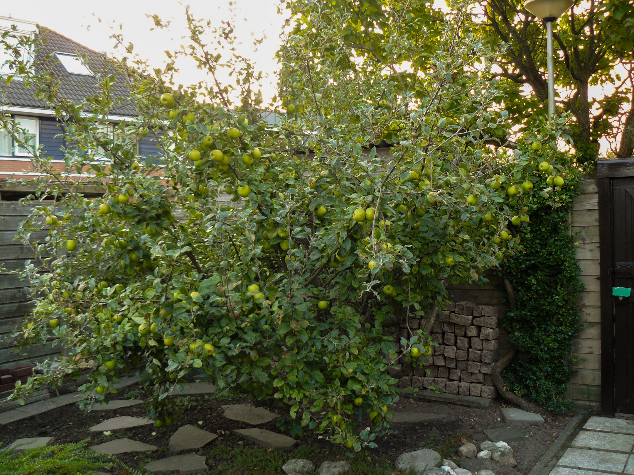 Foto 33 van Anna van Renesselaan 31