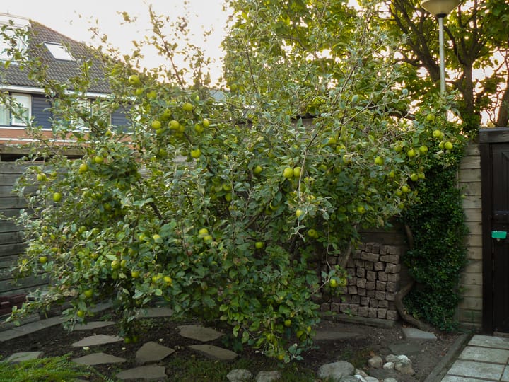 Foto 33 van Anna van Renesselaan 31