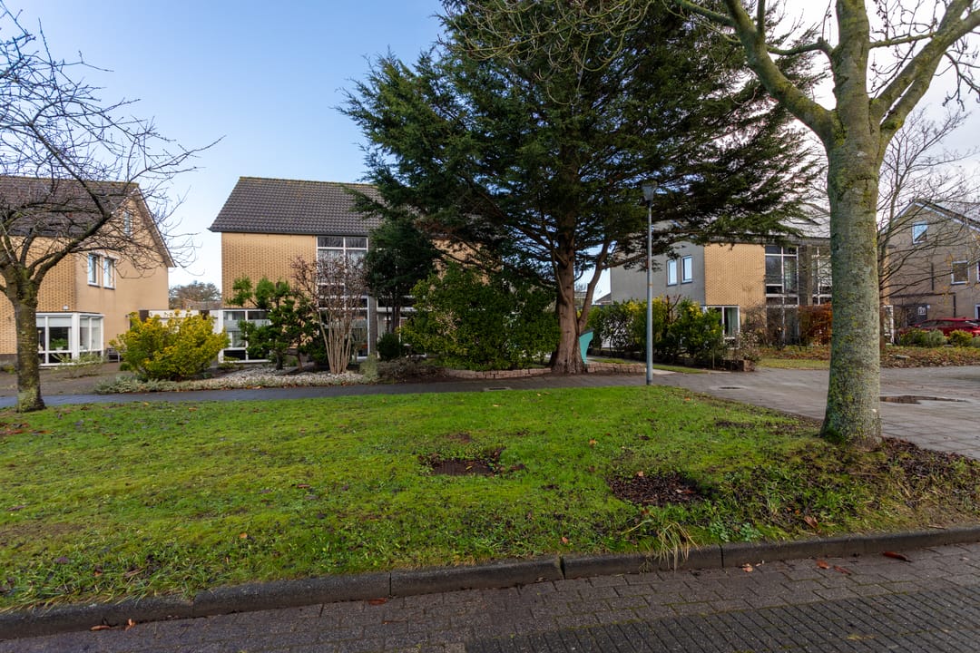 Photo 52 of Anna van Renesselaan 31