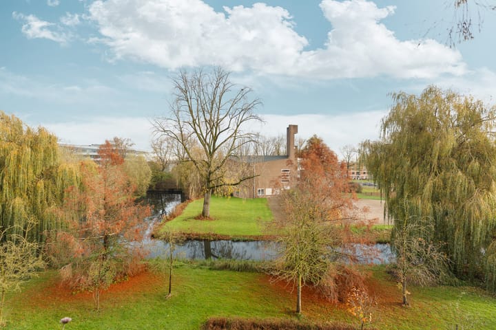 Foto 43 van De Houtmanstraat 107