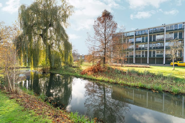 Foto 48 van De Houtmanstraat 107