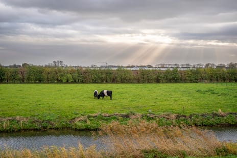 Zeven kastelenlaan 22 secondary image