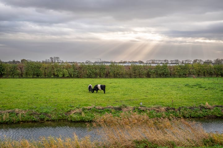 Zeven kastelenlaan 22
