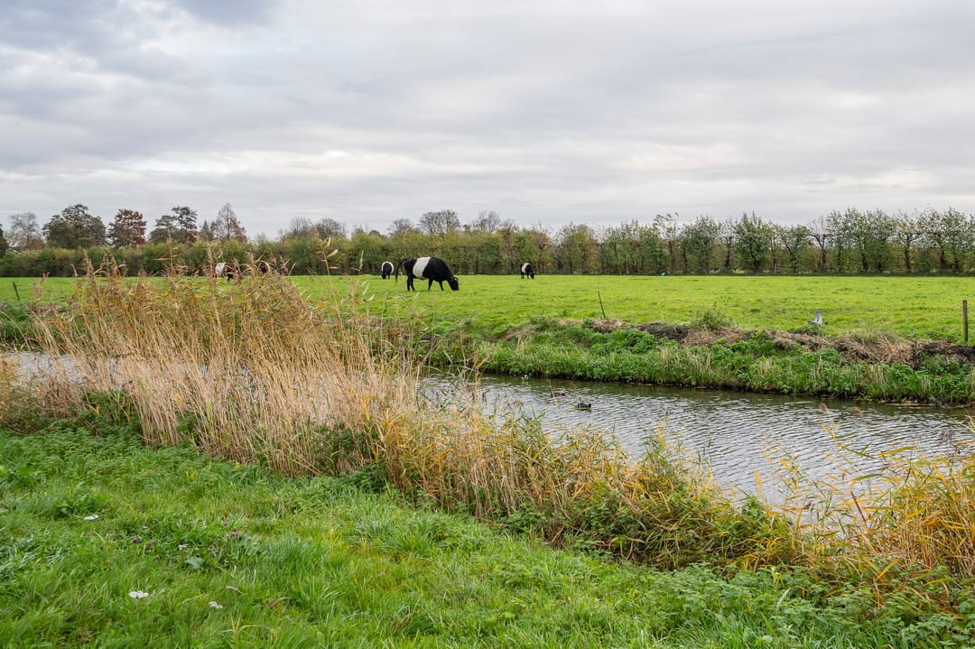 Foto 47 van Zeven kastelenlaan 22