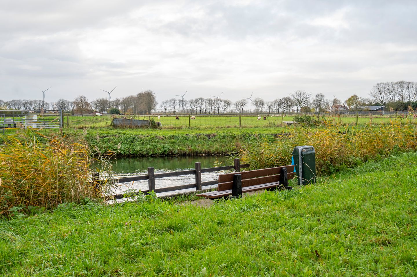 Foto 50 van Zeven kastelenlaan 22