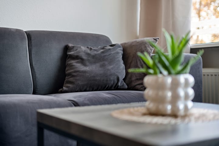 Photo 3 of Lingestraat 52