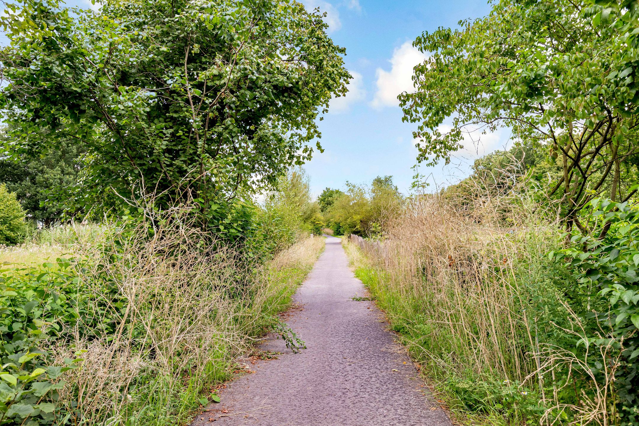 Photo 42 of Wipmolenweg 43