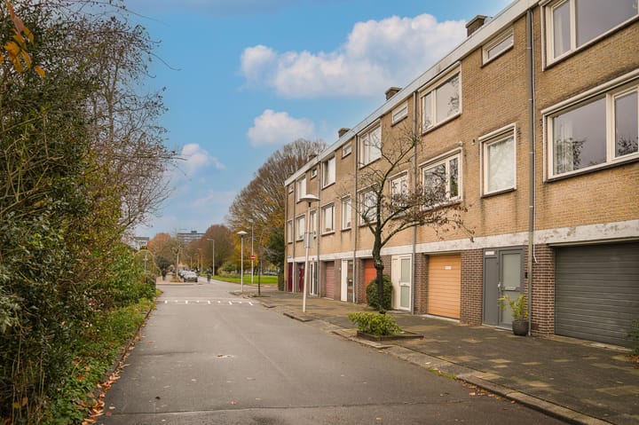 Photo 52 of De Vooysplantsoen 58