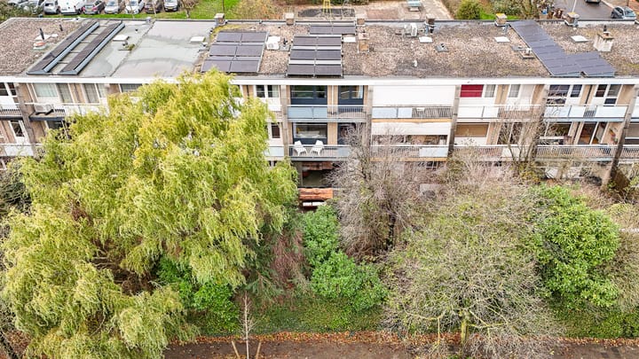 Photo 55 of De Vooysplantsoen 58