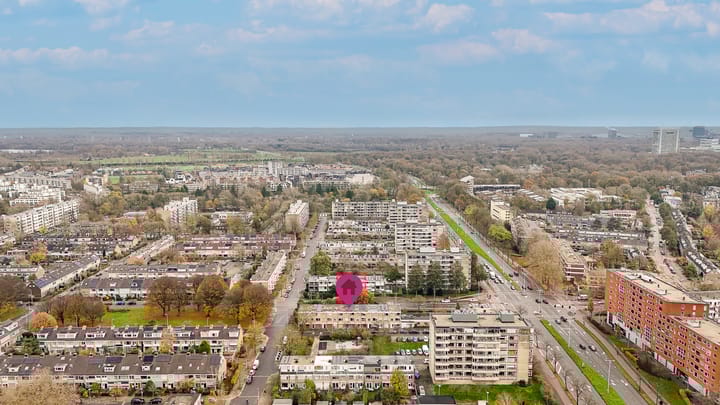 Photo 60 of De Vooysplantsoen 58