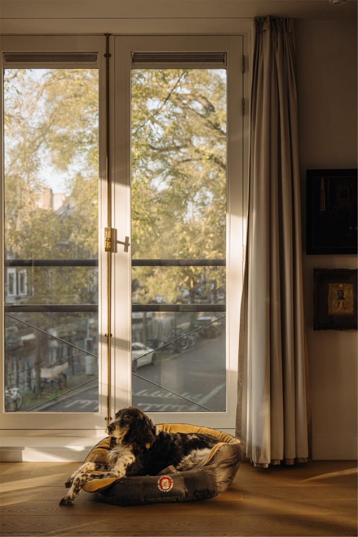 Foto 7 van Reguliersgracht 107-D