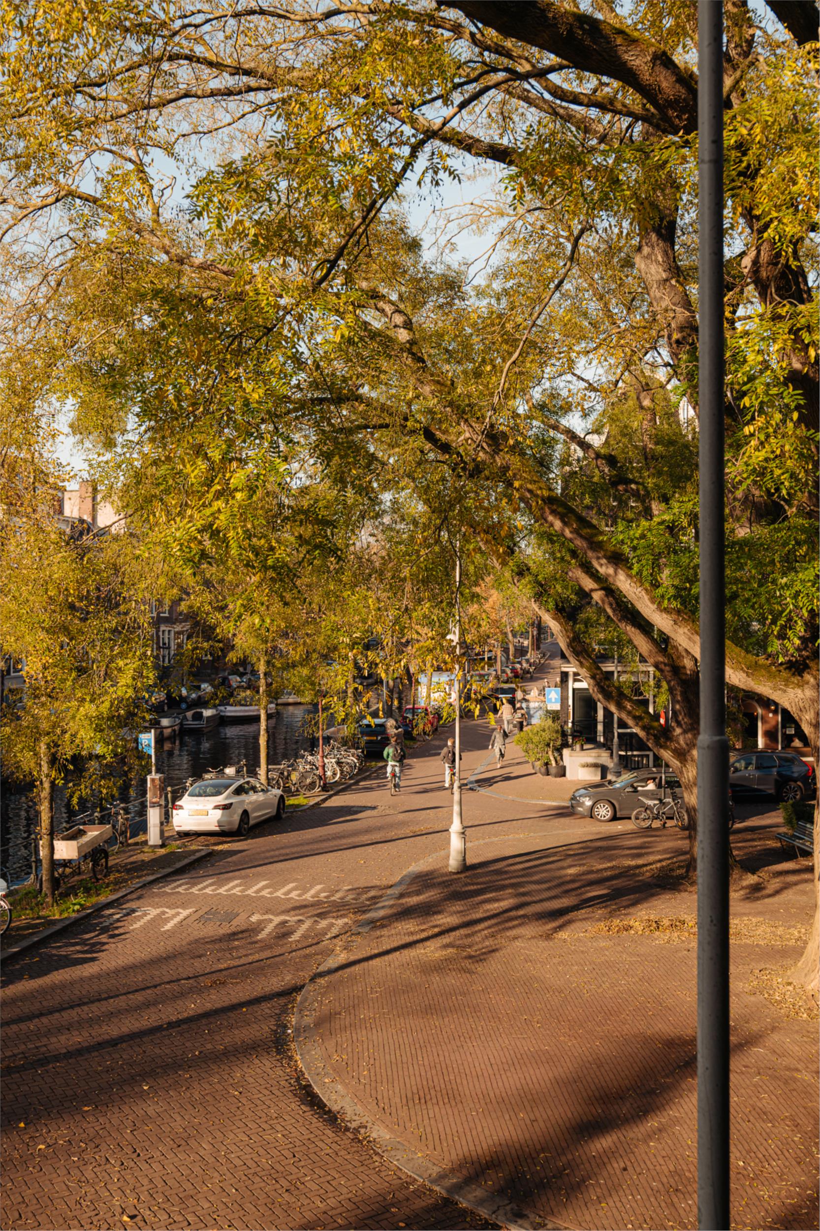 Foto 9 van Reguliersgracht 107-D