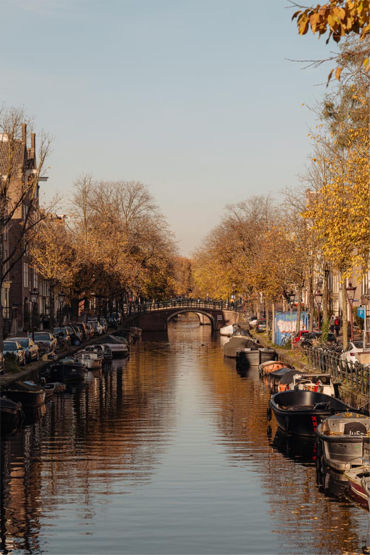 Foto 38 van Reguliersgracht 107-D