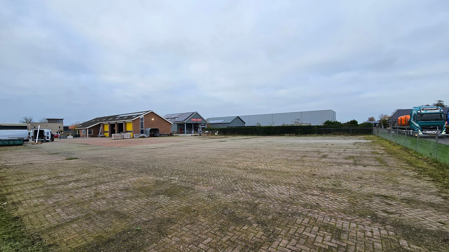 Bekijk foto 2 van Koematen 48